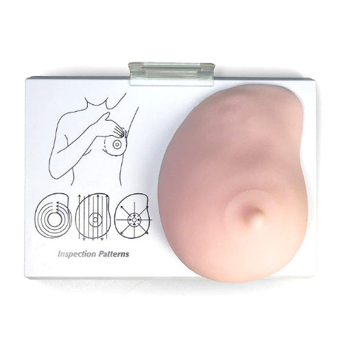 Human Breast Cancer Self Exam Model