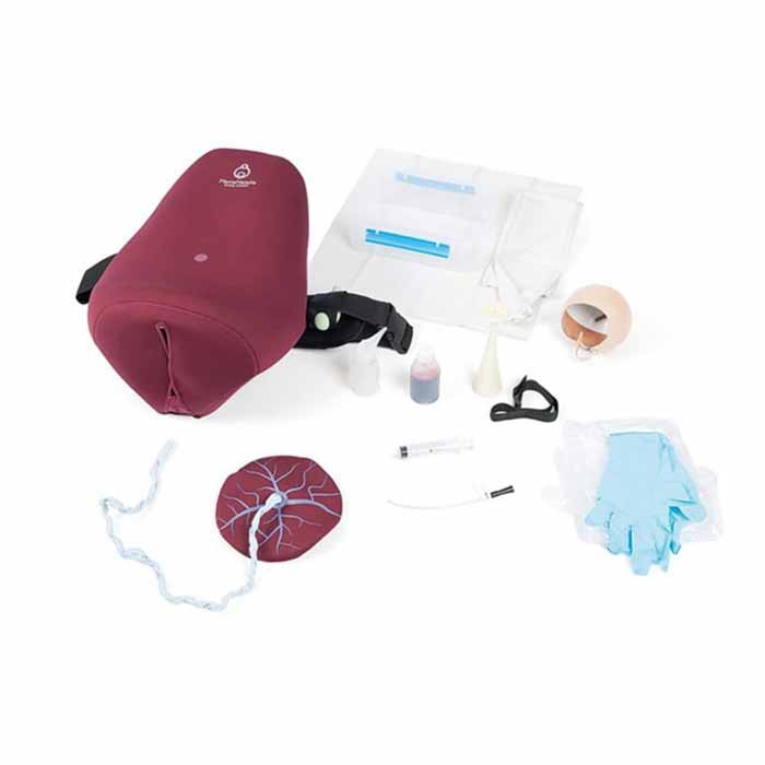 Laerdal MamaNatalie Complete Birthing Simulator and Mama-U Postpartum Uterus Trainer