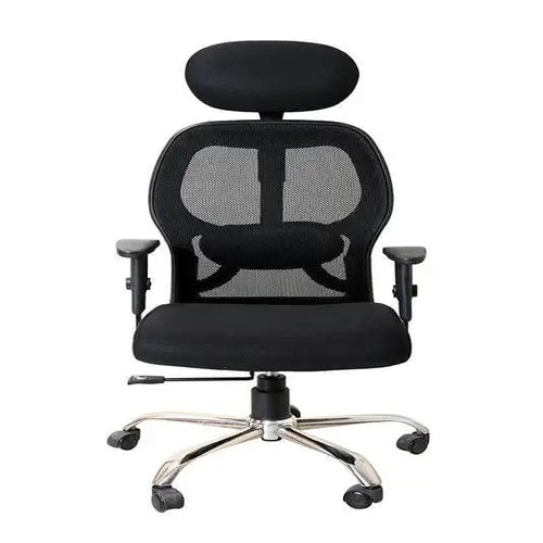 Ergonomic Back Rest Chair | Back & Lumbar Support