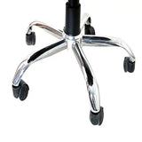 Ergonomic Back Rest Chair | Back & Lumbar Support