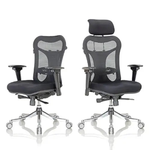 Ergonomic Chair Panache