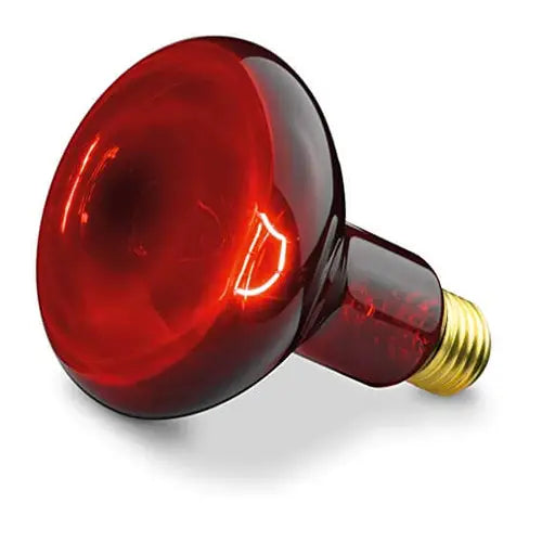Beurer infrared heat lamp IL11 control and base detail