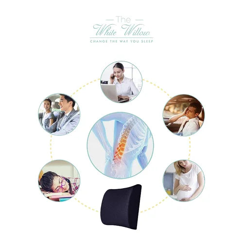 Lumbar backrest cushion with washable mesh cover