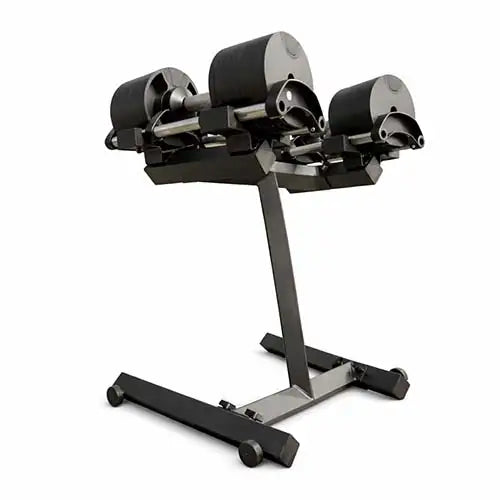 Adjustable dumbbells YL-02L+BTL with stand
