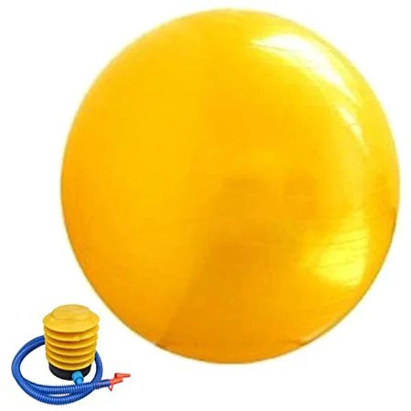 Anti-burst exercise ball 75cm with pump for physiotherapy and core training