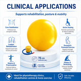 Exercise Ball 75cm clinical applications – core stabilisation, lumbar rehabilitation, balance and proprioception, active seating, prenatal exercise, pilates