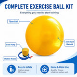 Complete exercise ball kit – 75cm anti-burst ball, foot pump and inflation nozzle for home and clinic use