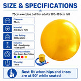 Exercise Ball 75cm size and specifications – 75cm diameter, anti-burst PVC, 300kg static load, includes ball hand pump and size guide