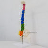 Mini spine anatomical model close-up of colour-coded vertebrae for teaching