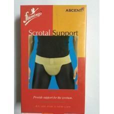 Allied Medical  Scott Scrotal Support